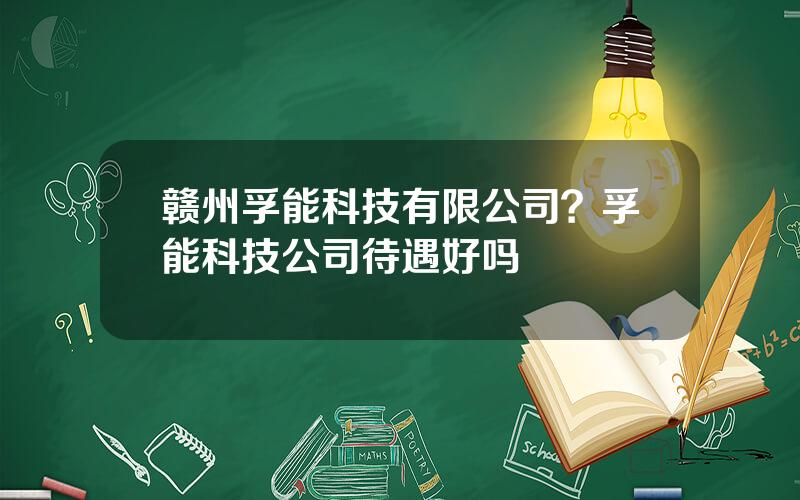 赣州孚能科技有限公司？孚能科技公司待遇好吗