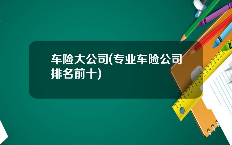 车险大公司(专业车险公司排名前十)