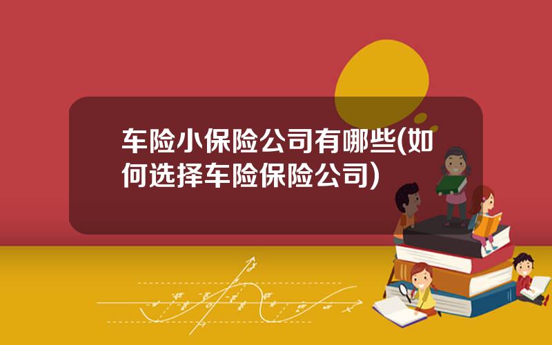 车险小保险公司有哪些(如何选择车险保险公司)