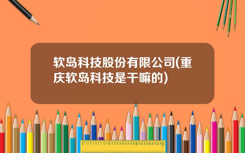 软岛科技股份有限公司(重庆软岛科技是干嘛的)