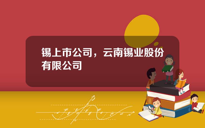 锡上市公司，云南锡业股份有限公司