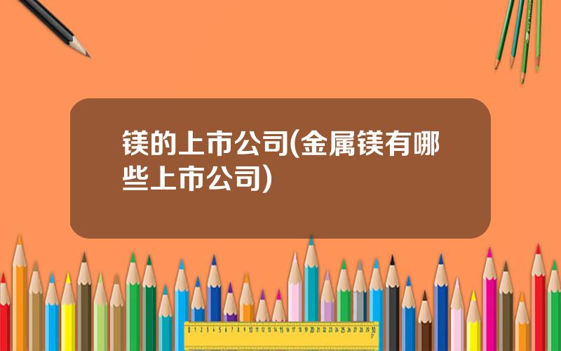 镁的上市公司(金属镁有哪些上市公司)